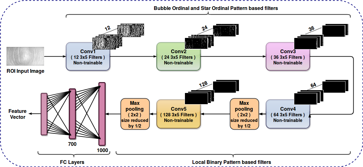 FDFNet : A Secure Cancelable Deep Finger Dorsal Template Generation ...