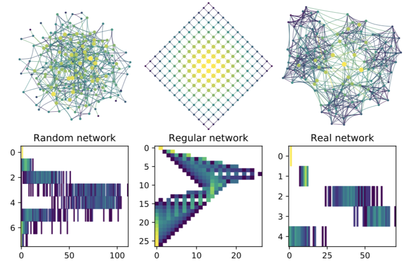 Networks and their portraits
