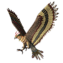 Falco
