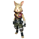 Pet Skin: Default