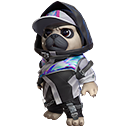 Pet Skin: City Pug