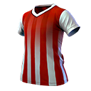 Striped Soccer Jersey (Top)