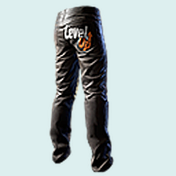 Promoted (Pants)