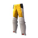 Bumblebee Cricketer (Bottom)