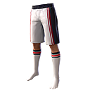 Arctic Blaze Shorts