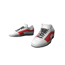 Eminent Cricketer (Shoes)