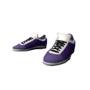 Super Cricketer (Shoes)