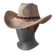 Cowboy Hat