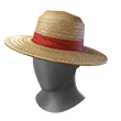 Pirate's Straw Hat