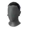 Silent Scrutiny (Head)