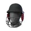 Eminent Cricketer (Mask)