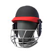 Bumblebee Cricketer (Mask)