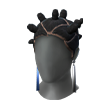Lacuna Genotype (Head)