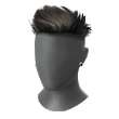 Manic Maharaja (Head)