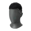 Glistening Majesty (Head)