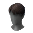 Style Academy (Head)