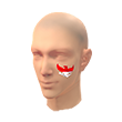 Indonesia Facepaint