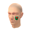 Bangladesh Facepaint