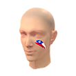 Chile Facepaint