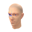 Tale of Eclipse (Facepaint)