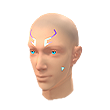 Amplified Bassrock (Facepaint)