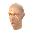 Warrior Prince (Facepaint)