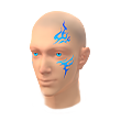 Skater Scars Facepaint