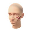 Enflamed Immortal (Facepaint)