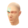 Teal-Tail Facepaint