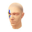 Earthy Facepaint