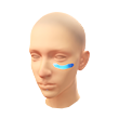 Watercolor Palette (Facepaint)