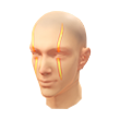 Roaring Heart (Facepaint)