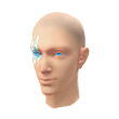 Iceshard (Facepaint)