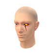 Fiery Radiance (Facepaint)