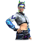 Frosty Fox Bundle