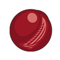 Cricket Ball