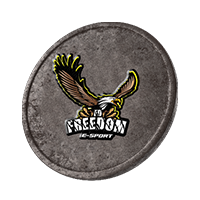 Pro League Badge 11