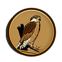 Arab Eagle Token