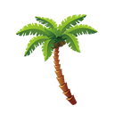 Coconut Tree