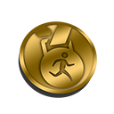 Marathon Medal