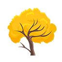 Golden Trumpet Tree