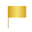 Yellow Flag