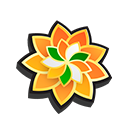 Orange Flower
