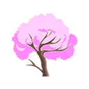 Pink Trumpet Tree
