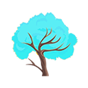 Blue Trumpet Tree