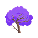 Purple Trumpet Tree