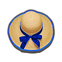 Beach Hat