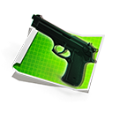 The Master of Guns #2