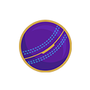 Cricket Ball