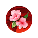 Peach Blossom